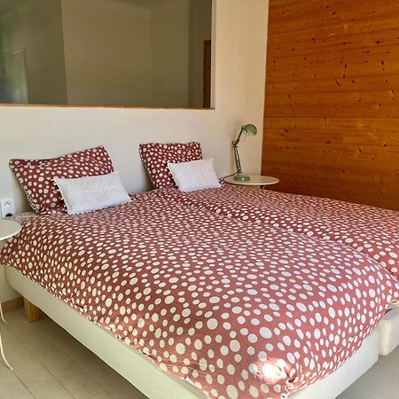 La Perle Des Montagnes - Bed And Breakfast - Chambre D Hote แวร์เนต์-เลส์-บานส์ ภายนอก รูปภาพ